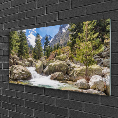 Plexiglas® Wall Art Mountain forest stones lake nature grey brown green white