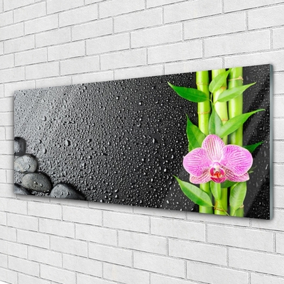 Plexiglas® Wall Art Bamboo stalk flower stones floral green pink black