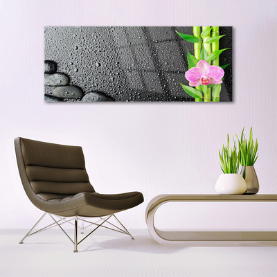 Plexiglas® Wall Art Bamboo stalk flower stones floral green pink black