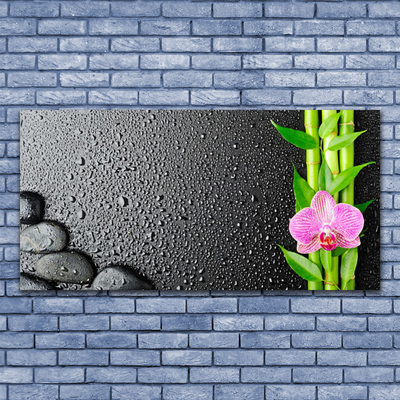 Plexiglas® Wall Art Bamboo stalk flower stones floral green pink black