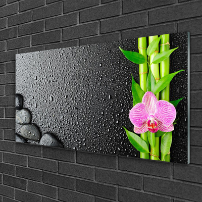 Plexiglas® Wall Art Bamboo stalk flower stones floral green pink black