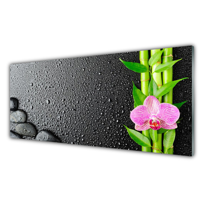 Plexiglas® Wall Art Bamboo stalk flower stones floral green pink black