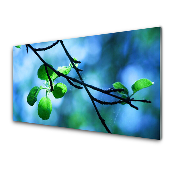 Plexiglas® Wall Art Branch leaves floral black green