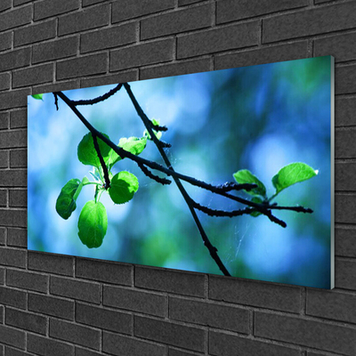 Plexiglas® Wall Art Branch leaves floral black green