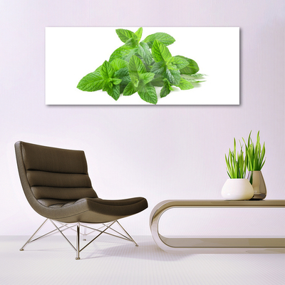 Plexiglas® Wall Art Mint floral green