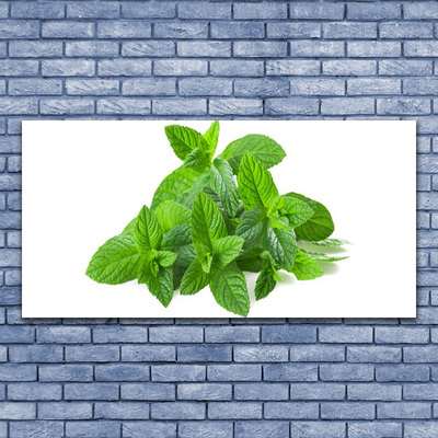 Plexiglas® Wall Art Mint floral green