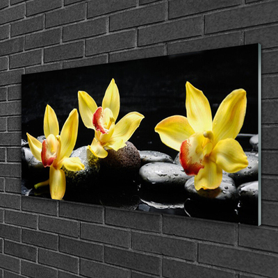 Plexiglas® Wall Art Flower stones floral green black