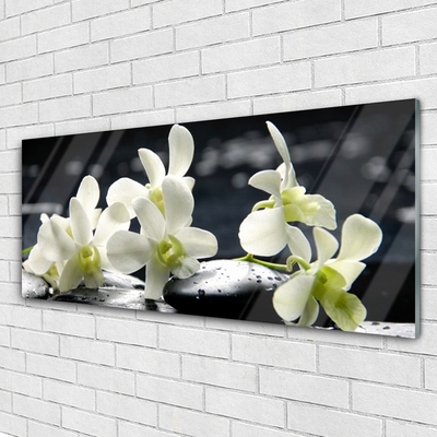 Plexiglas® Wall Art Flower stones floral white black