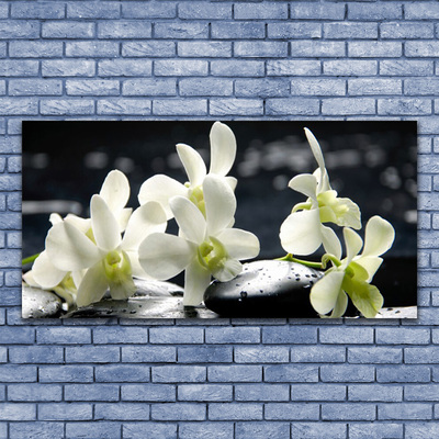 Plexiglas® Wall Art Flower stones floral white black