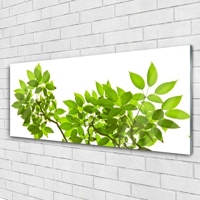 Plexiglas® Wall Art Branches leaves floral brown green