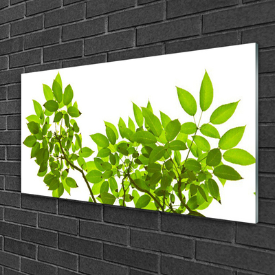 Plexiglas® Wall Art Branches leaves floral brown green