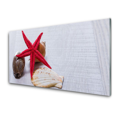 Plexiglas® Wall Art Starfish shell art red beige brown grey