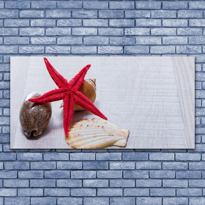 Plexiglas® Wall Art Starfish shell art red beige brown grey