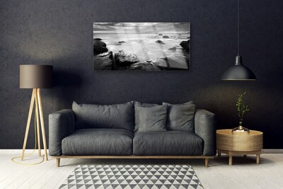 Plexiglas® Wall Art Rock sea landscape grey