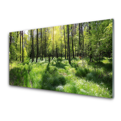 Plexiglas® Wall Art Forest nature brown green