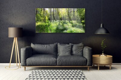 Plexiglas® Wall Art Forest nature brown green