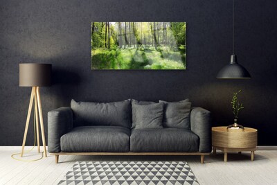 Plexiglas® Wall Art Forest nature brown green