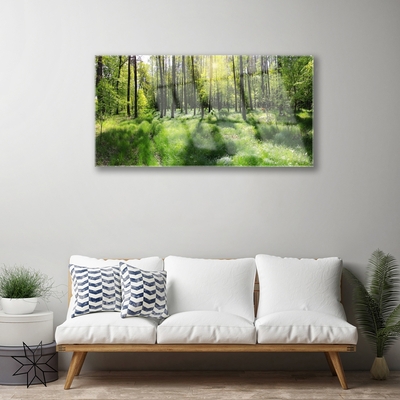 Plexiglas® Wall Art Forest nature brown green