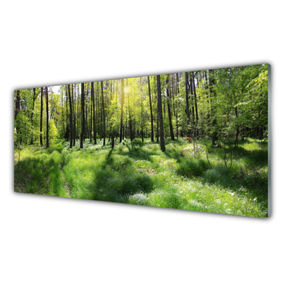 Plexiglas® Wall Art Forest nature brown green