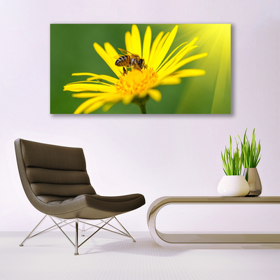 Plexiglas® Wall Art Wasp flower floral black yellow