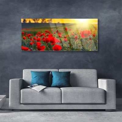 Plexiglas® Wall Art Meadow flowers nature red green