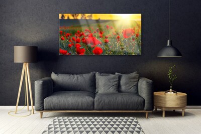 Plexiglas® Wall Art Meadow flowers nature red green