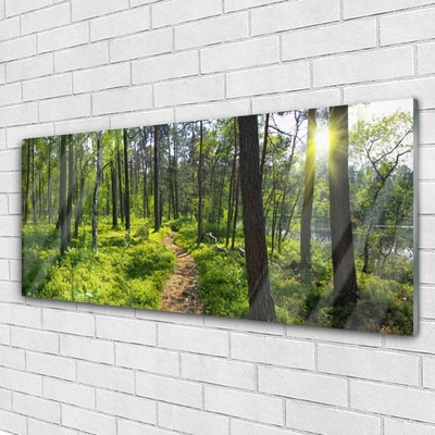 Plexiglas® Wall Art Forest nature brown green