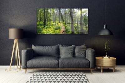 Plexiglas® Wall Art Forest nature brown green