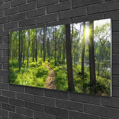 Plexiglas® Wall Art Forest nature brown green