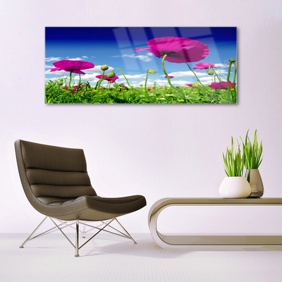 Plexiglas® Wall Art Meadow flowers nature red green