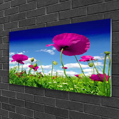 Plexiglas® Wall Art Meadow flowers nature red green