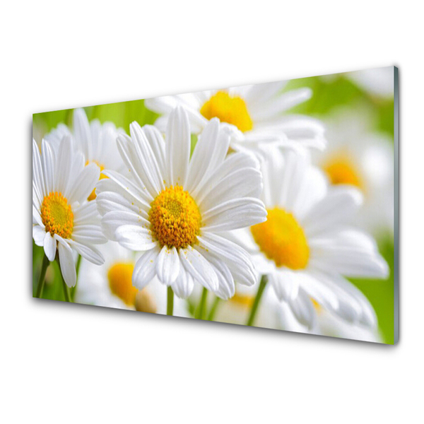 Plexiglas® Wall Art Daisy floral yellow white