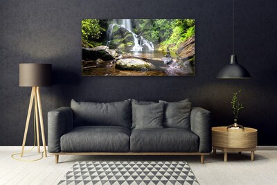 Plexiglas® Wall Art Waterfall stones forest nature brown green white