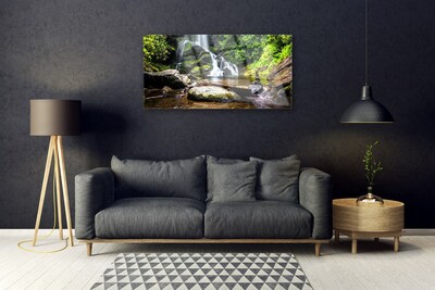 Plexiglas® Wall Art Waterfall stones forest nature brown green white