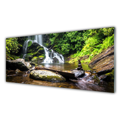 Plexiglas® Wall Art Waterfall stones forest nature brown green white