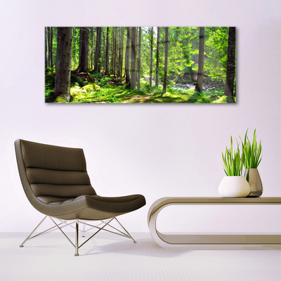 Plexiglas® Wall Art Forest nature brown green
