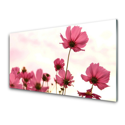 Plexiglas® Wall Art Flowers floral pink