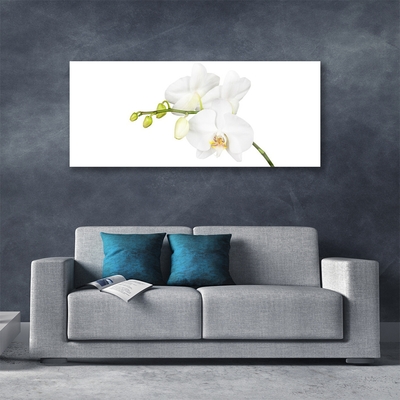 Plexiglas® Wall Art Flowers floral white