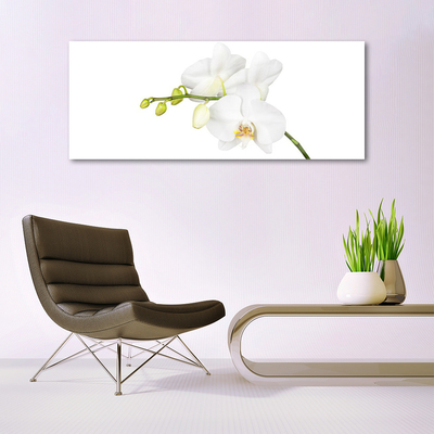 Plexiglas® Wall Art Flowers floral white