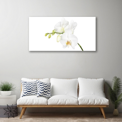 Plexiglas® Wall Art Flowers floral white