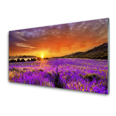 Plexiglas® Wall Art Sun meadow flowers nature yellow pink