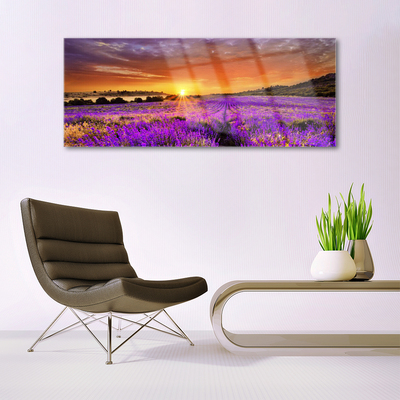 Plexiglas® Wall Art Sun meadow flowers nature yellow pink