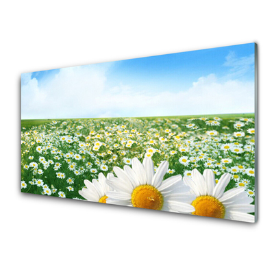 Plexiglas® Wall Art Meadow daisies floral green white yellow