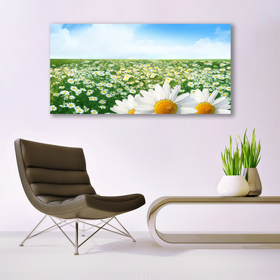 Plexiglas® Wall Art Meadow daisies floral green white yellow