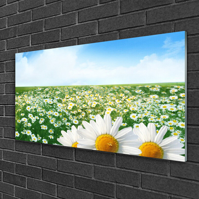 Plexiglas® Wall Art Meadow daisies floral green white yellow