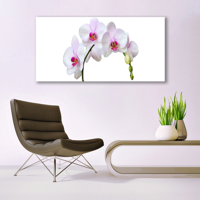 Plexiglas® Wall Art Flowers floral white pink