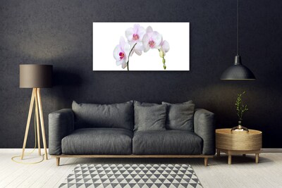 Plexiglas® Wall Art Flowers floral white pink