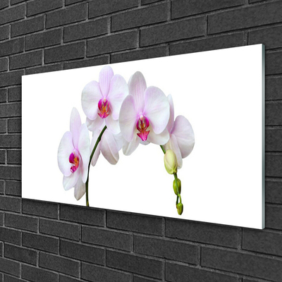 Plexiglas® Wall Art Flowers floral white pink