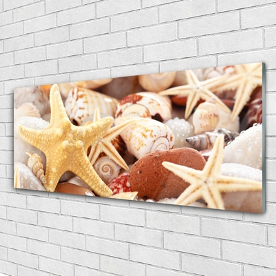 Plexiglas® Wall Art Seastar shells art yellow white brown