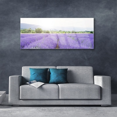 Plexiglas® Wall Art Meadow flowers nature purple